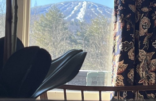 Winhall Ski Chalet | MINUTES TO STRATTON AND BROMLEY!