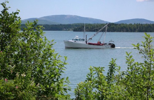 Trenton Resort | Narrows Too Camping Resort Cabin 7