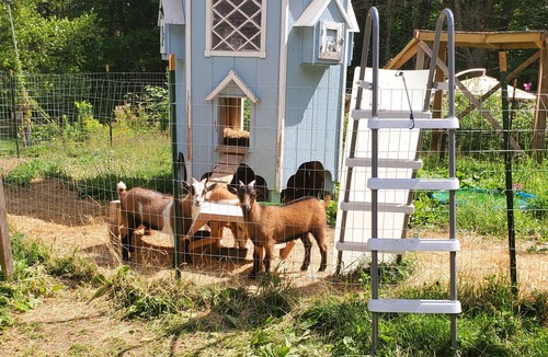Ossipee House | New Inflation Fighting Rate, PET Friendly