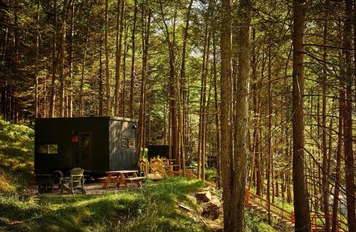Epsom Other | Postcard Cabins Blake Brook, Outdoor Collection by Marriott Bonvoy