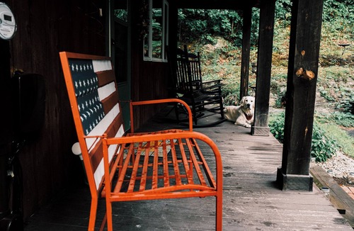 Springfield Cabin | Private 3-bedroom cabin with WiFi and backyard!