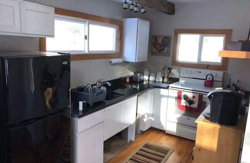 Mount Holly Cabin | Private Cabin/Pets OK/AC/Minutes to Okemo/Fast WiFi