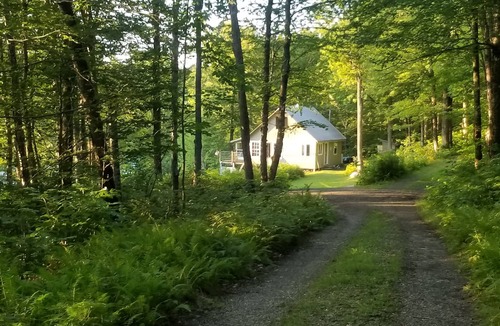 Eden Cabin | Private Mountain Pond Cabin