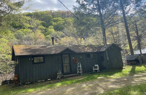 Roscoe Cabin | Relaxing Cabin on the Beaverkill River—A Fisherman’s Paradise Roscoe NY—