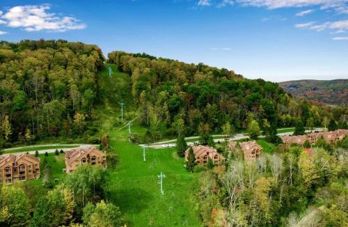 Great Valley House | Renovated Ski In Out Condo King Bed Patio Grill