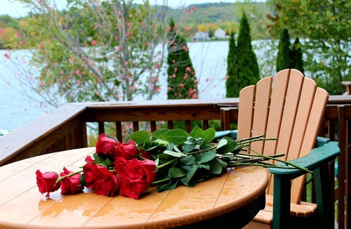 Northwood Cabin | Rent a log home on a private peninsula on Northwood Lake. Enjoy Paradise!