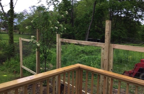 Westfield Apartment | Rising Rose- Get Away, Private Entry/Patio, Wifi, A/C, Smart TV, ADA Accessible