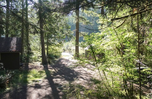 Rhododendron Cabin | Romantic Mt. Hood Streamside Retreat, Hot Tub, BBQ, Fast WiFi. Pets Welcome, Ski