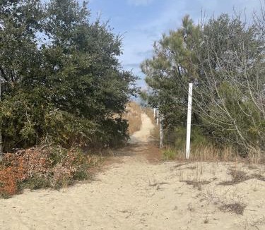 Cottage Line Apartment | Roomy Beachfront Apartment, Deck, Game Room! apts