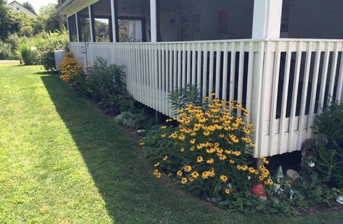 Kelleys Island House | Screened in back porch is a haven!