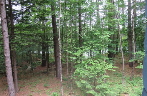 Sandwich Cabin | Secluded, Lakeside Log Cabin on Squam Lake with private dock