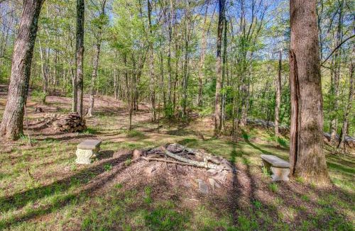 Elkton House | Shenandoah National Park Cabin with Patio!