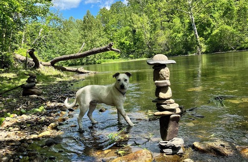 Covington RV Rental | Shirleys’ River Retreat. … camp on the rivers edge