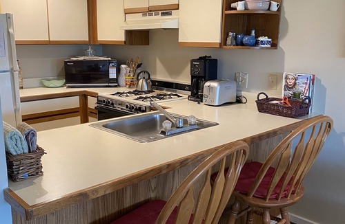 Ludlow Condo | Ski in Ski out! top of the A quad chairlift
