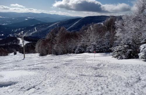 Warren House | Ski to your back door! Shared condo with ski professional and cat.