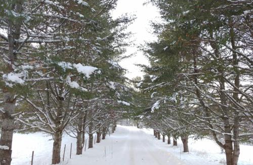 Montpelier Apartment | Spacious country retreat close to town and nature, Sylvana Farm VT