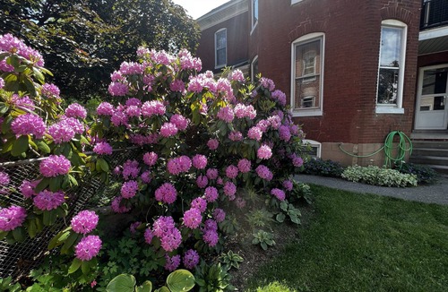 New Oxford House | Spacious Historic Home: 4 bedrooms, 2.5 bath