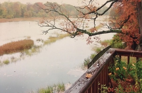 Mamaroneck House | Spacious House Next To Nature Preserve Adjacent To Long Island Sound