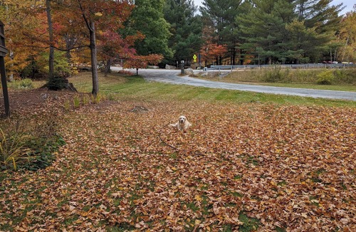 Grantham House | Spacious lake-side townhome near Sunapee near indoor pool, gym, x-country skiing