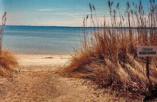 Aquebogue House | Spectacular Family Home on the Peconic Bay with Magnificent Water Views