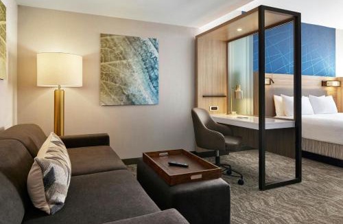 Dover Hotel | SpringHill Suites by Marriott Frederica
