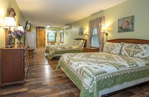 Springmaid Mountain Cabin | Springmaid Mountain Retreat & Stables