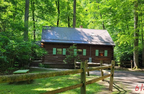 Elkins Cabin | Stay WATERFRONT ! Stay CHEAT RIVER LODGE