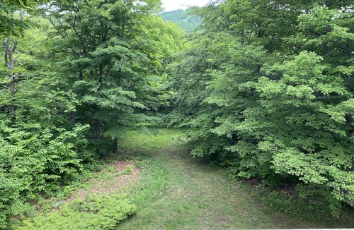 Stratton Mountain Condo | Summer getaway-walk to Stratton Village, tennis, fitness, and pool-Mtn. Views