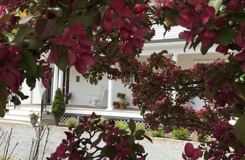 Williston North House | Superior Suite with Queen Bed, Living Room, Kitchen, Private bathroom
