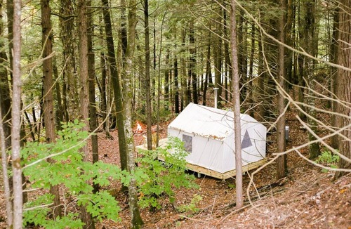 Bristol RV Rental | Tentrr Signature Site - Whispering Pines At The River