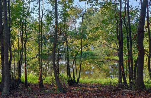 Mamers RV Rental | Tentrr Signature Site - Meadow Escape at CATHIS Farm