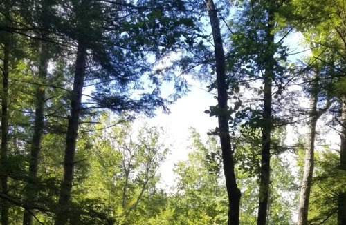 Alton RV Rental | Tentrr Signature Site - Camp Alton