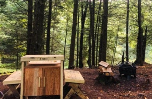 Kauneonga Lake Other | Tentrr Signature Site - Come As You Are at the Tentrr Catskill Retreat - Single Camp