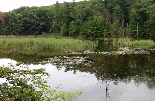 Hollowville Other | Tentrr Signature Site - Honey Pot Farm Pond Paradise