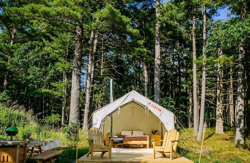 Catskill RV Rental | Tentrr Signature Site - The Old Catskill Game Farm Abandoned Zoo: Mountain View