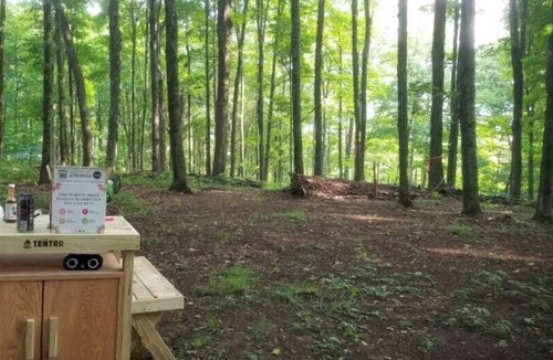 Hartwick RV Rental | Tentrr Signature Site - Briar Hill Respite