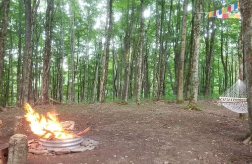 Hartwick RV Rental | Tentrr Signature Site - Briar Hill Respite