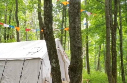 Hartwick RV Rental | Tentrr Signature Site - Briar Hill Respite