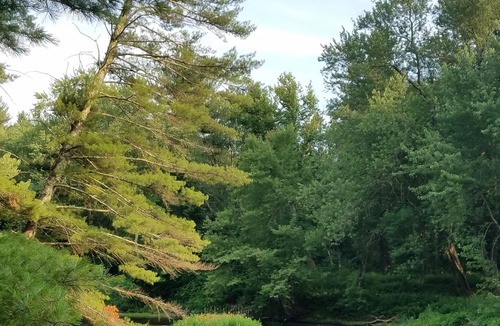 Merrimack RV Rental | Tentrr Signature Site - Souhegan Serenade