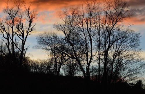 Randolph RV Rental | Tentrr Signature Site - Howling Wolf Farmstay
