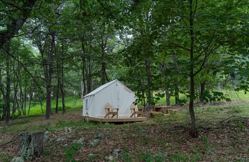 Mathias RV Rental | Tentrr State Park Site - WV Lost River State Park - Wooded Wilderness D - Single