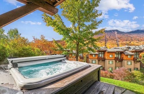 Stowe Area House | The Cabin at Nosedive: Spruce Peak 4 br ski-in/ski-out, fireplace, a/c, hot tub!
