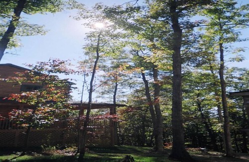 True House | The Cardinal log cabin. Wrap around deck, firepit. Next to Pipestem resort park.