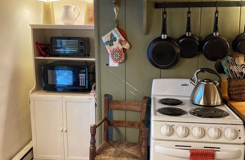 Warm Springs House | The Tannery! Private Dipping Pool In The Warm Springs Stream! Pet Friendly!