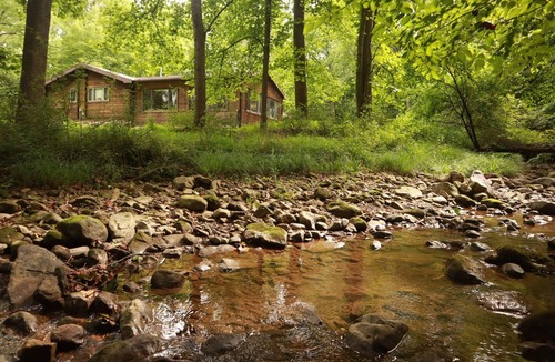 Lost River Cottage | Tree swing, Outdoor dining with Stream and Fire Pit, Large Yard, Sunroom, Trail