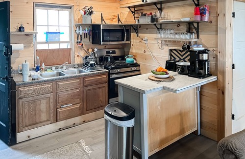 Franklin Cabin | Updated waterfront cabin with fireplace, grill, and internet - dog-friendly