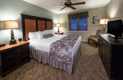 Brownsville Villa | Villa ∙ 1 bedroom ∙ 2 guests