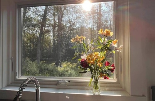 Stone Ridge House | Visit a farm-stay container house on a 30-acre organic forest in Stone Ridge, NY