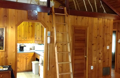 Port Republic House | Waterfront Log Cabin with Million Dollar View & Luxury Bath! Shark's Teeth!