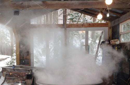 Adrian Cabin | Woody’s Treehouse Hideaway In French Creek,W.Va great deer hunting